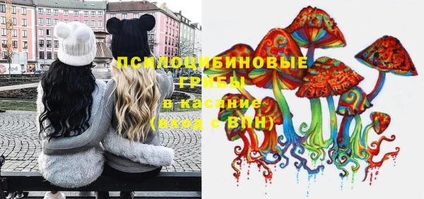 PSILOCYBIN Арсеньев