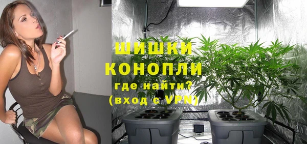 сатива Балабаново