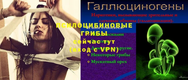 PSILOCYBIN Арсеньев