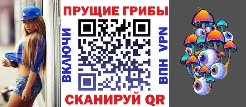 Галлюциногенные грибы Cubensis как найти Кировск