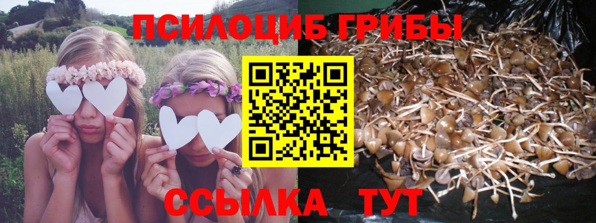Псилоцибиновые грибы мухоморы Кировск
