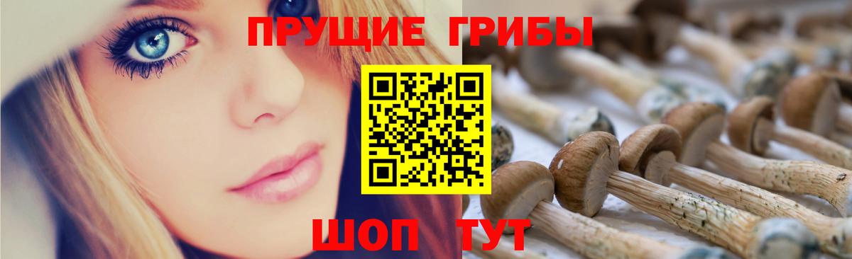 Галлюциногенные грибы GOLDEN TEACHER  цена   Кировск  Вход с VPN 